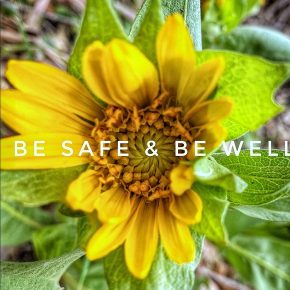 Meet your Posher, Bernice - Picture 8 of 12